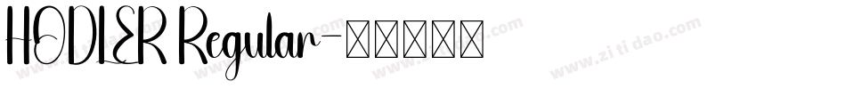 HODLER Regular字体转换